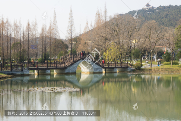園林景觀