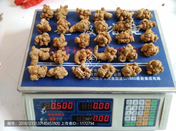 云南特產名貴中藥材三七稱重頭數