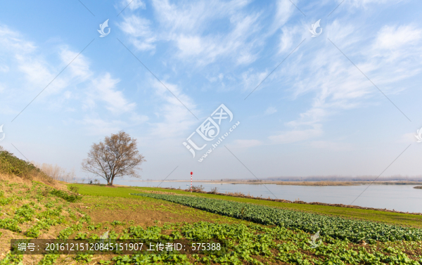 田園風(fēng)光