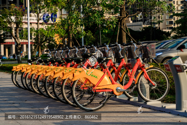 城市公共自行車,騎行,綠色出行