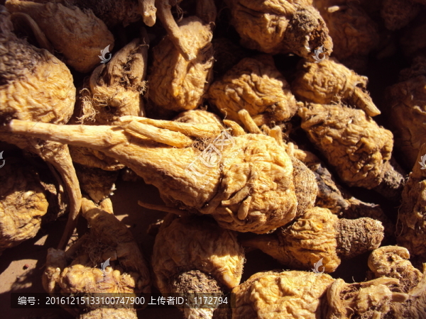 瑪咖瑪卡瑪咔中藥保健加工
