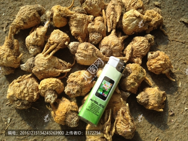瑪咖瑪卡馬卡瑪咔黃瑪咖
