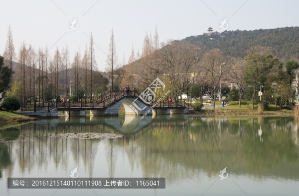 園林景觀,拱橋