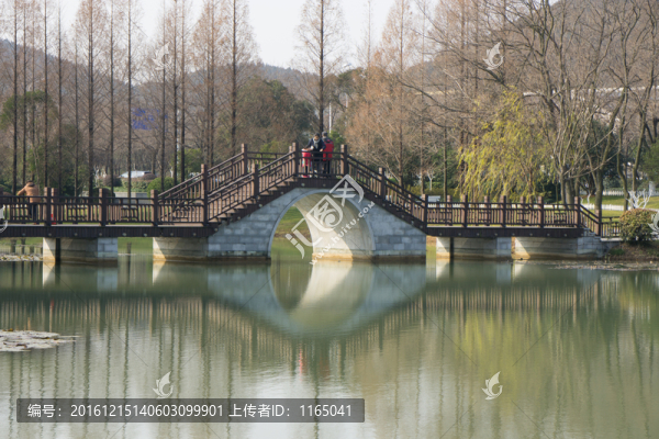園林景觀,拱橋