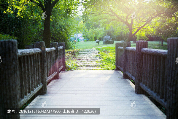 公園小道
