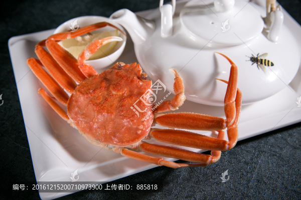 松葉蟹