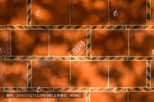 閩南紅磚墻壁,墻壁樹影,磚墻