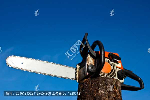 專業(yè)電動鏈鋸