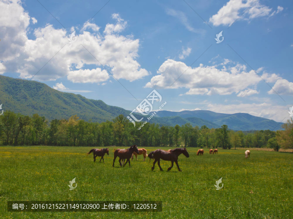 馬和山