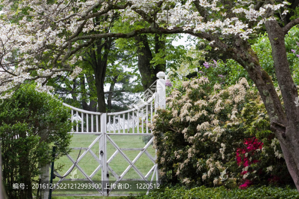 春天的花園