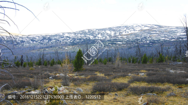 春天的高山