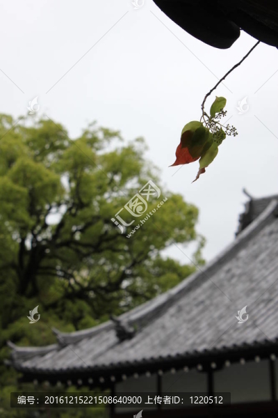 日本式庭園