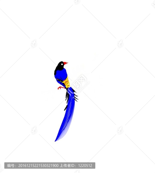 喜鵲的卡通鳥