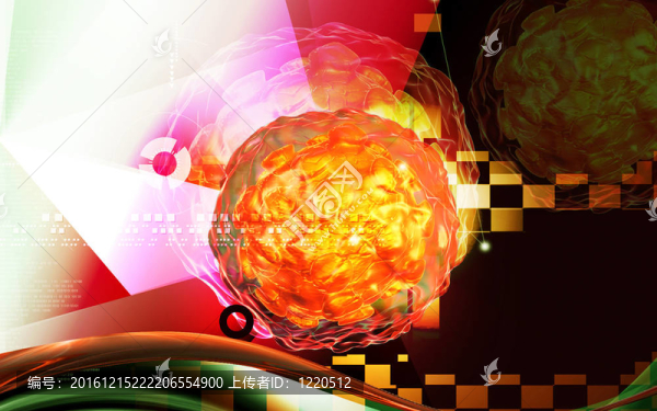 脊髓灰質(zhì)炎病毒