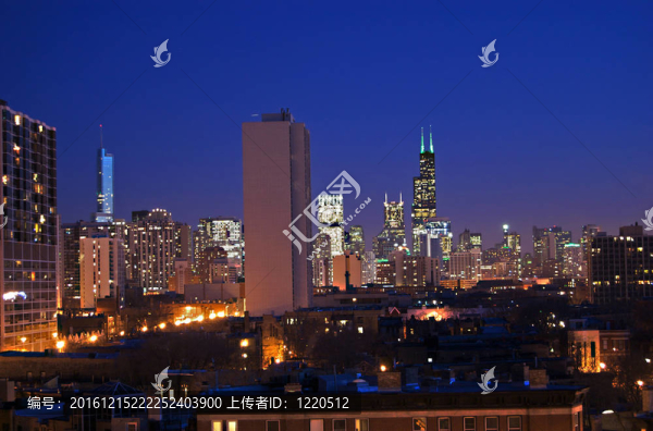 芝加哥夜晚的天際線