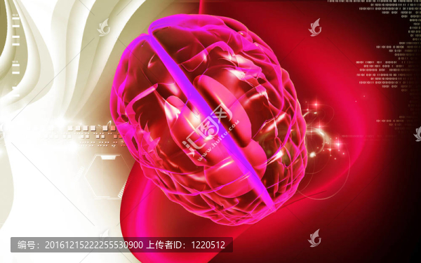 腦