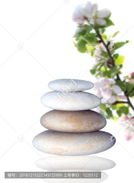 溫泉石和蘋果花