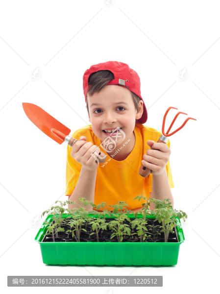 小男孩學習種植食物