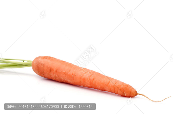 新鮮的胡蘿卜
