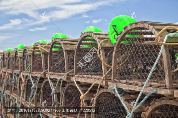 龍蝦陷阱