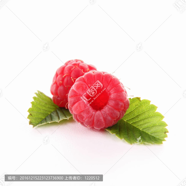 孤立的覆盆子