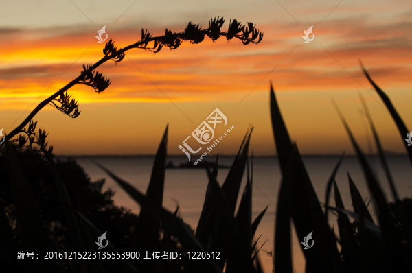 白天日出日落