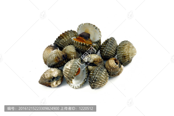 烤扇貝。