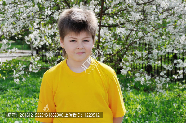春天里花園里的男孩