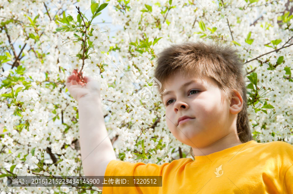 春天里花園里的男孩