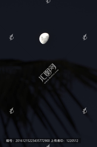 自然-,Moon,Night