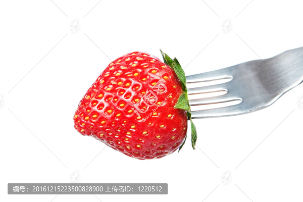 叉子上的新鮮草莓。在白色背景上。
