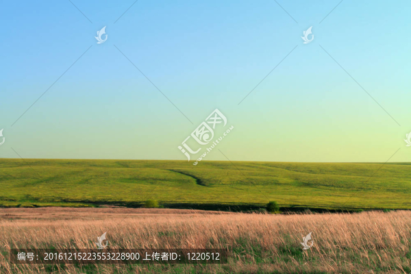 與地板的鄉(xiāng)村景觀；峽谷和樹