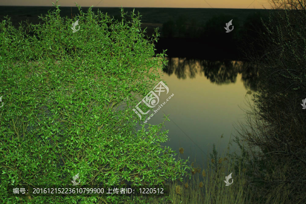 湖泊在草原上的日落景觀