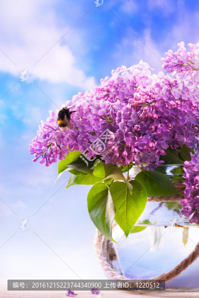 天空背景下花瓶里的花