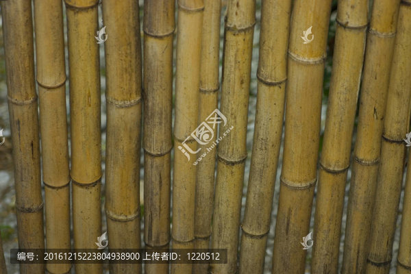 竹桶棕黃色母線背景特寫