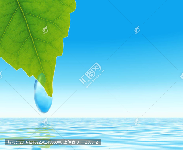 明亮的綠葉與背景水藍(lán)色的露水