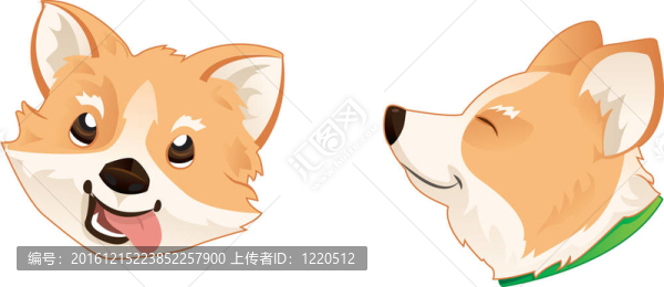 彭布羅克威爾士柯基犬頭