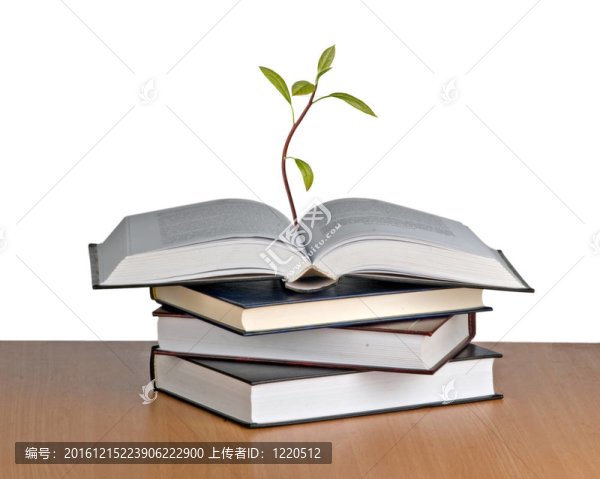 從書中成長的樹