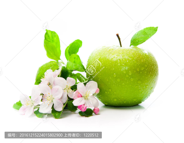 青蘋果花