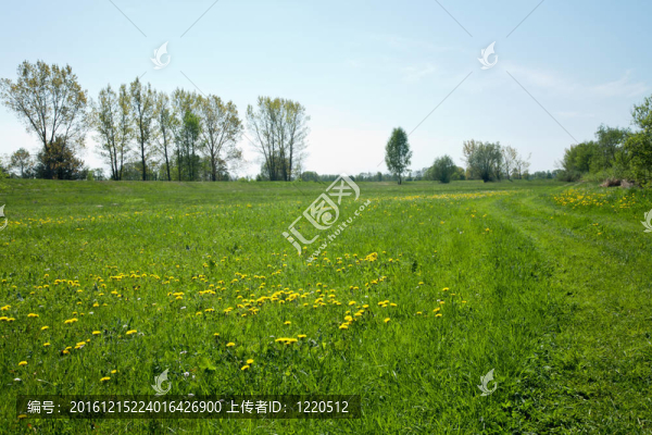 鄉(xiāng)村景觀與鄉(xiāng)村道路