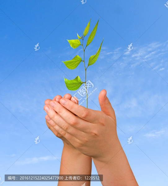 作為自然保護(hù)象征的手發(fā)芽