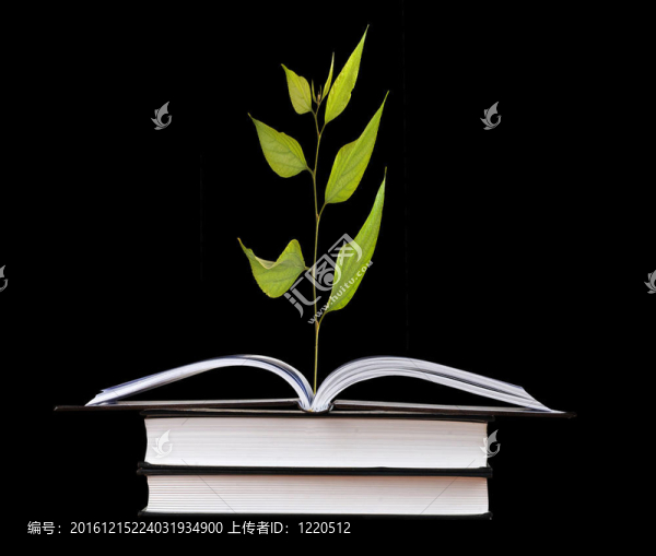 從書中成長的樹