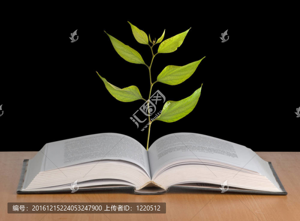 從書中成長(zhǎng)的樹