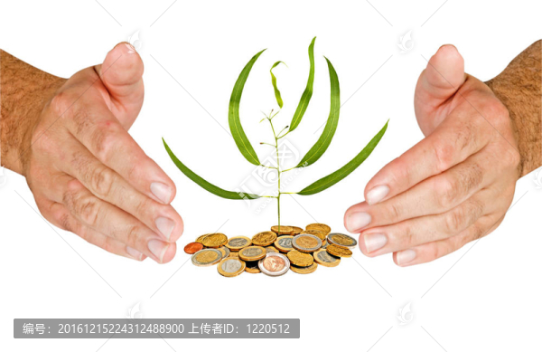 從一堆硬幣中成長(zhǎng)的手保護(hù)樹