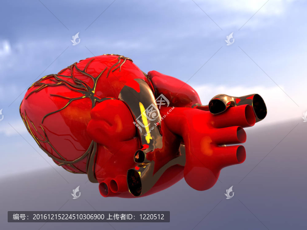 人工心臟模型