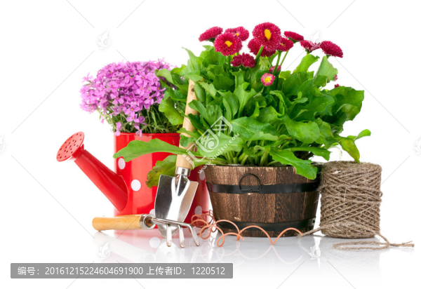 帶花園工具的春天花