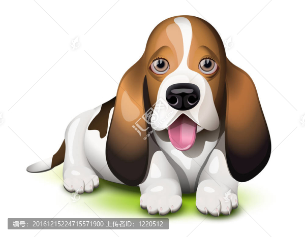 巴吉度獵犬的小狗