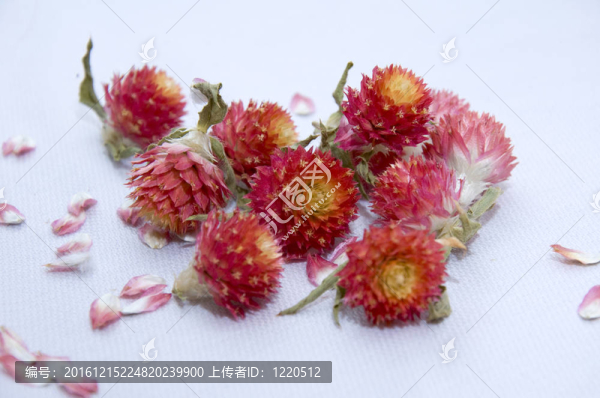 干燥花
