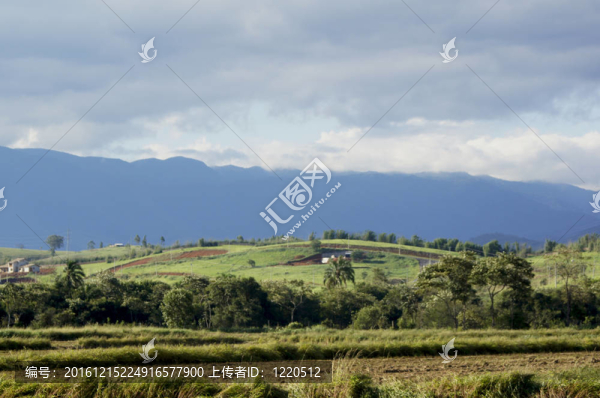山