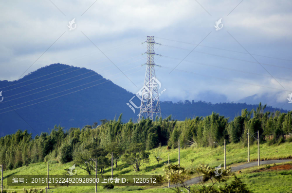 山